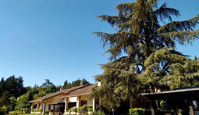 Montebello Park Hotel