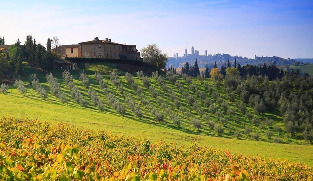Montegonfoli 5 Apartment in San Gimignano for 4 + 2 with great views