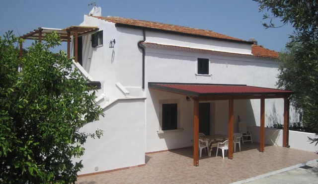 Mulberry House