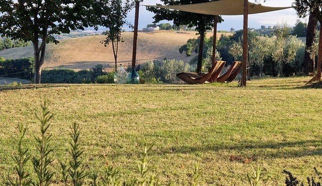 Nestled among olive trees with spectacular views, perfect for relaxation