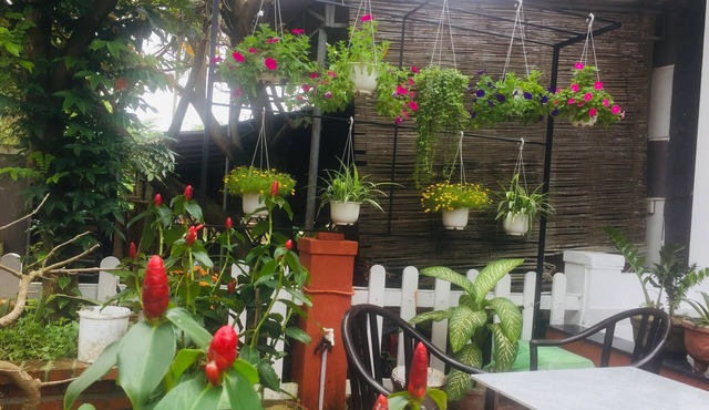 New Destination Hoi An Homestay