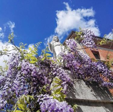 Oasi della Divina Volontà