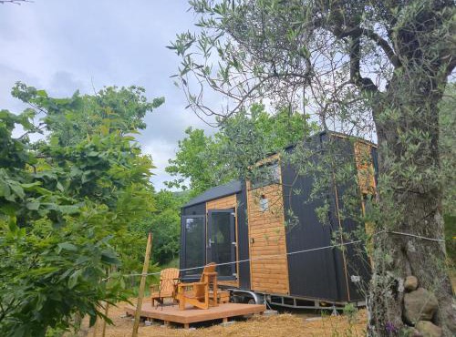 Off-Grid Nature Tiny House Retreat & Simple Living