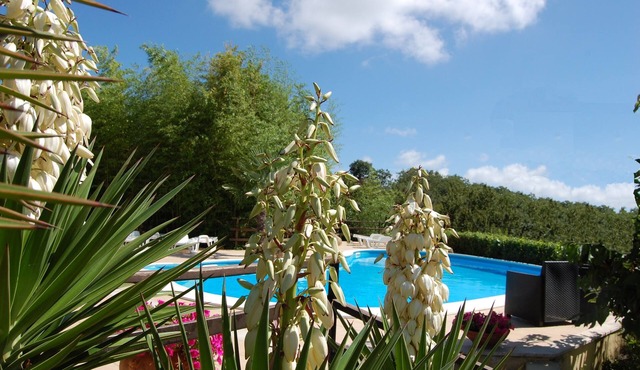 Panoramic house near Rome; stunning lake View, Pool, WiFi Garden, Rome at 50min