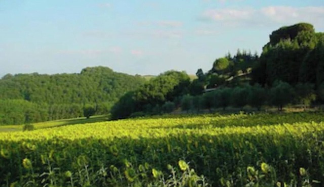 Podere Caldaruccio La Pineta -18 people Cottage & Villa