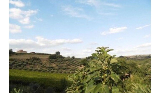 Podere Caldaruccio La Pineta - 22 people Cottage & Villa