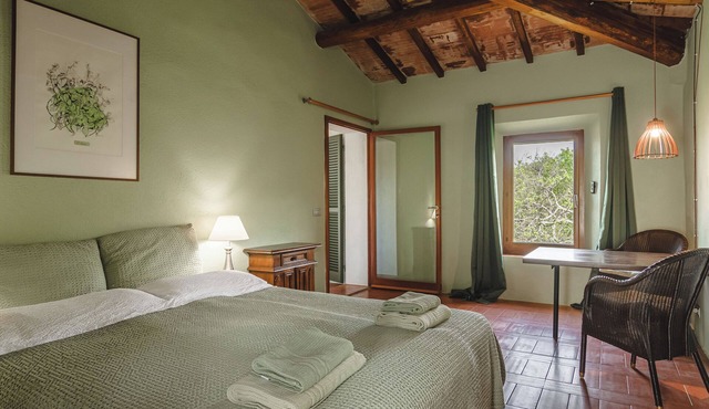 Podere Mencoini Spacious Tuscan Villa with Private Pool & Olive Grove near Siena