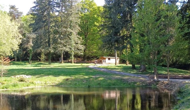 Roulotte des Hêtres au Domaine de Vauguenige