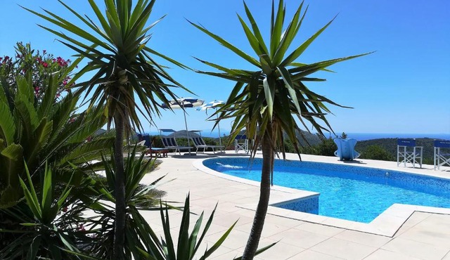 Saha tourist accommodation among olive trees and sea view