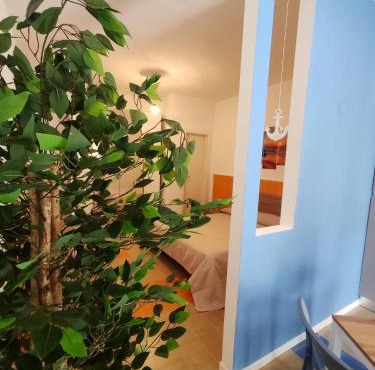 San Nicola Arcella House