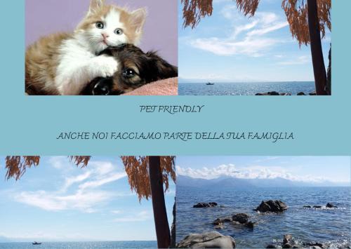 Scario Sun