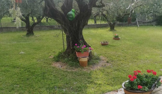 STRUTTURA RICETTIVA CON PISCINA PRIVATA
