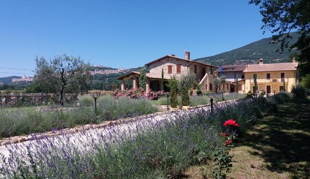 Sulla Strada di San Francesco