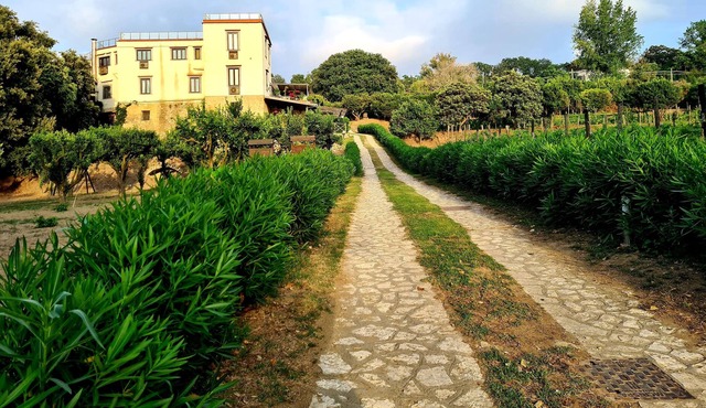 Tenuta Convivium Cuma