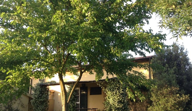 the house in the garden