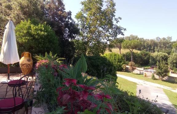The Olive Grove Roma Guest House