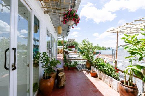 The peace home