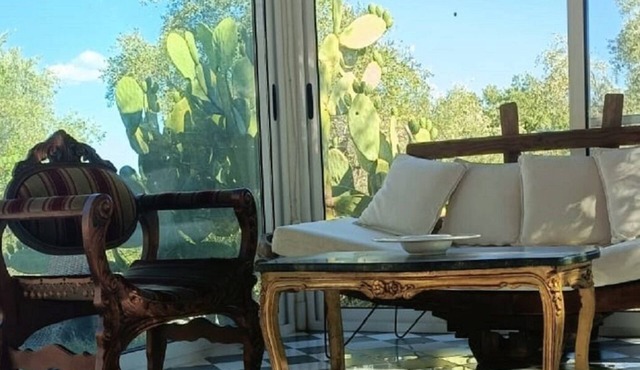 The Three Arches: house nestled among olive trees in the Lucanian countryside.