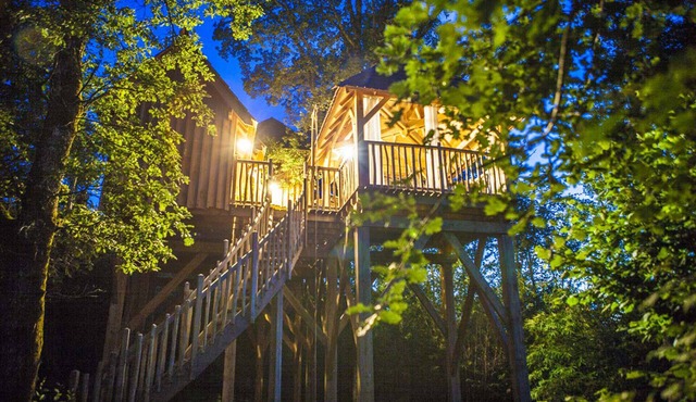 Tree house with private spa