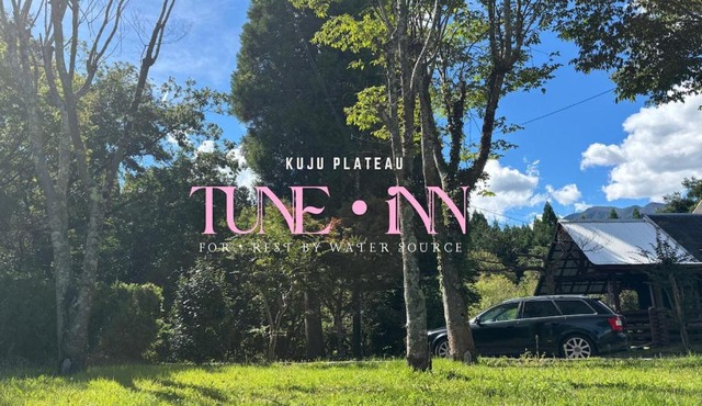 Tune Inn space & ground