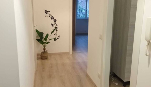 Vacation home near Villa Pamphili Reg.no.23737
