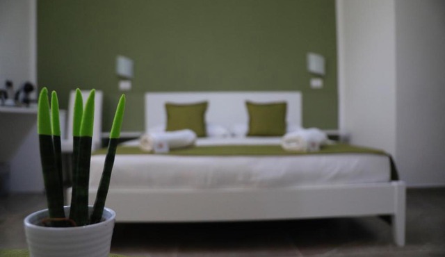 VICKY'S HOUSE