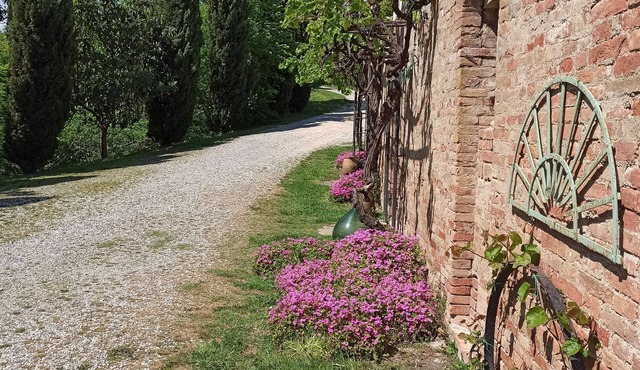Villa in Siena Hills, flat 4/6 pax with pool A/C - heating- garden