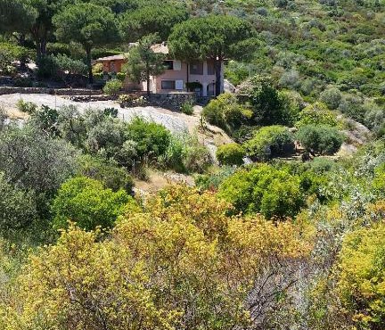 Villa Laura Aegilium