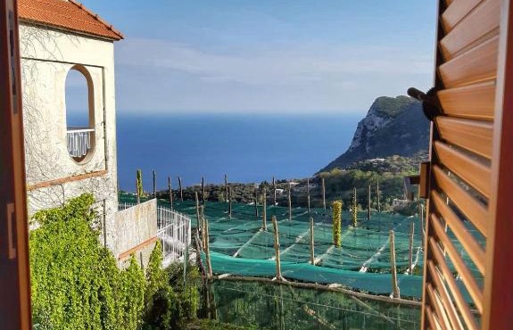 Villa Mariel rooms and apartments