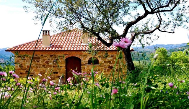 Villa Nigro