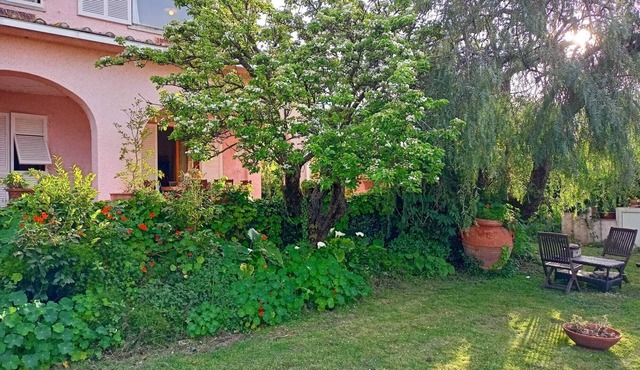 Villa Ontanelli - 500mt from the sea