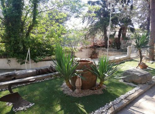Wild Paradise