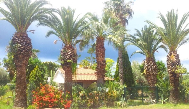 Wonderful Villa surrounded by lush greenery - Beach close peaceful location
