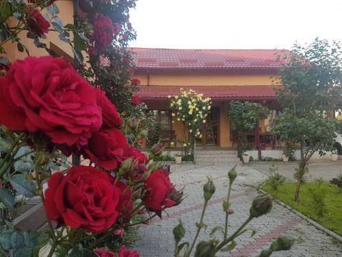 Cluj-Napoca Villa | 100 m² Villa ∙ 2 bedrooms ∙ 6 guests