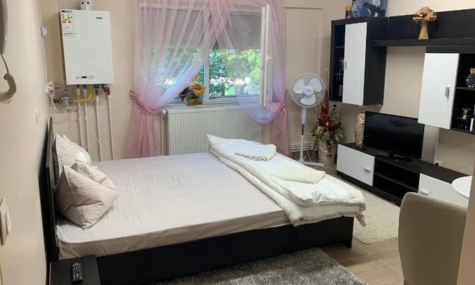 Satu Mare Apartment | 17 m² Apartment ∙ 1 bedroom ∙ 2 guests