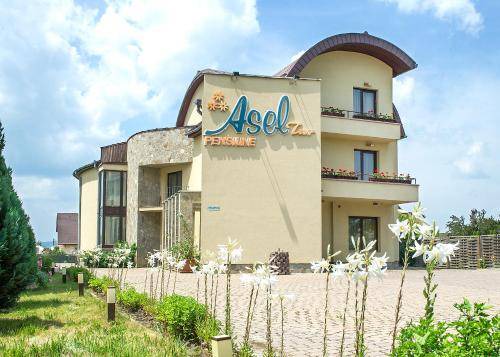 Brasov Bed & Breakfast | 39 m² Bed and breakfast ∙ 4 guests