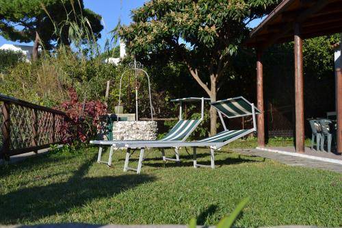 Forio Apartment | 40 m² Apartment ∙ 2 guests