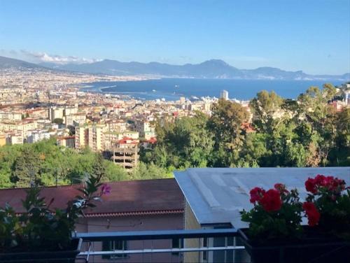 Arenella Bed & Breakfast | B&B Pacifico