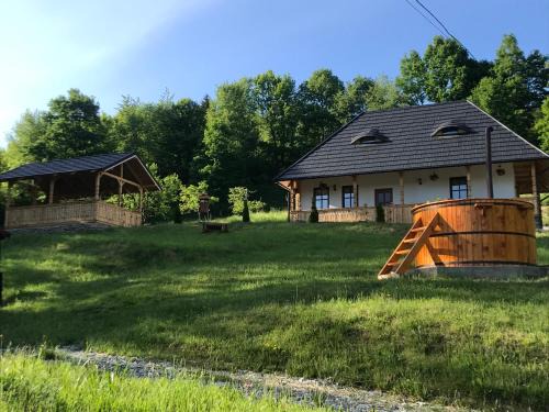Viseu de Sus House | Casa Berg