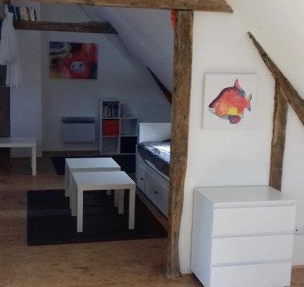 Malicorne-sur-Sarthe Apartment | Loft