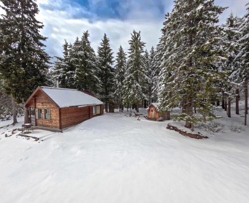 Zetea Ski Chalet | Natura Haziko