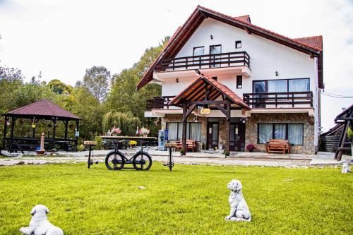 Bran House | Vila Vibrant