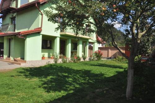 Rasnov House | Vilman House