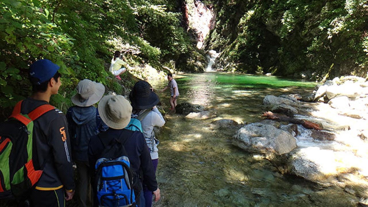 Photo of Others in Nobeyama