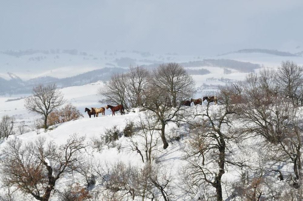 Photo of Outdoor in San Chirico Nuovo
