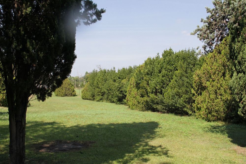 Photo of Others in Zona XLV Castel di Guido