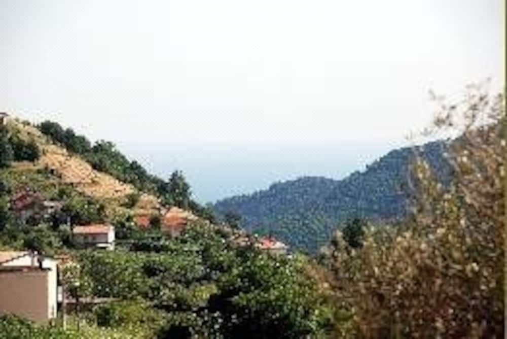 Photo of Outdoor in Campinola