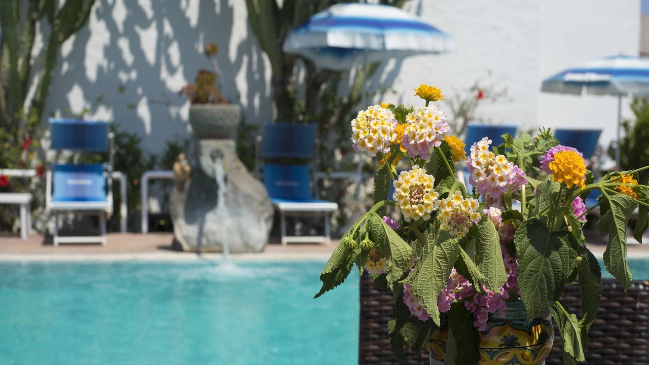 Photo of Outdoor in Forio