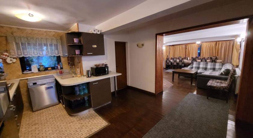 Photo of Kitchen in Predeal