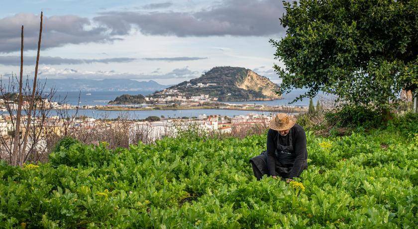 Photo of Others in Monte di Procida